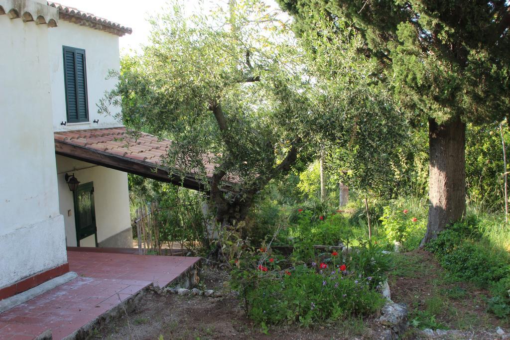 Tenuta Conte Ruggero ซานตาโดเมนิกา ห้อง รูปภาพ