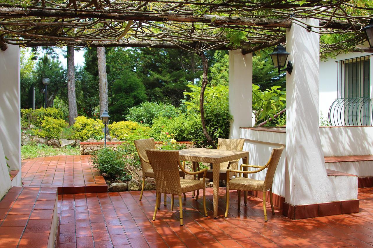 Tenuta Conte Ruggero ซานตาโดเมนิกา ภายนอก รูปภาพ